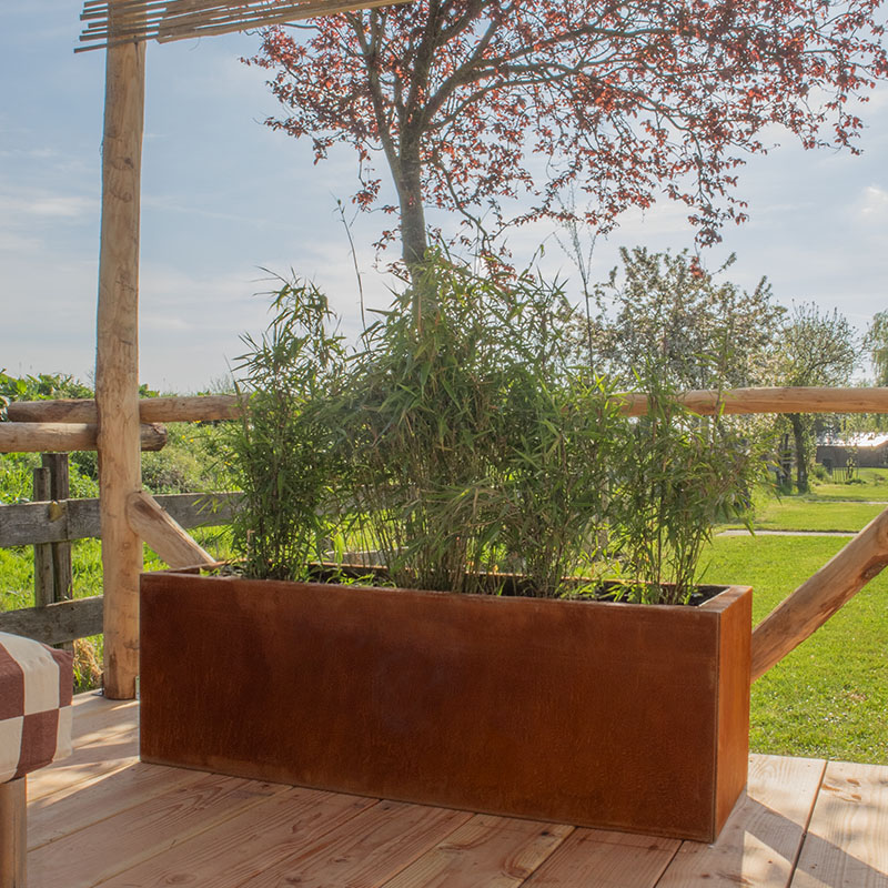 multi-edge-flora-12040_aangelegd-6